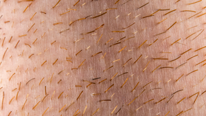 Beard Care 101: Everything a First-Time Beard Grower Needs to Know
