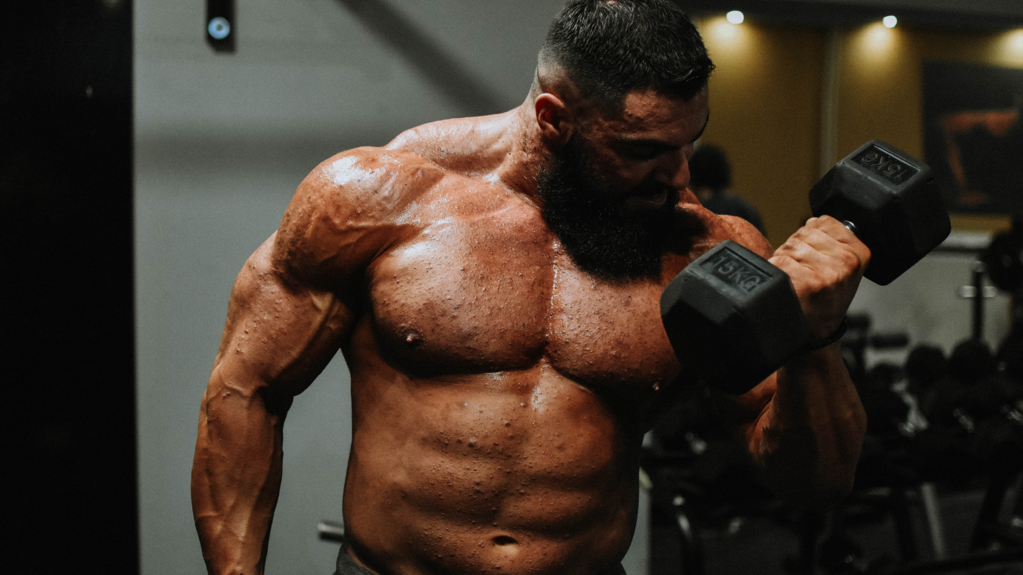 A Day in the Life of a Bearded Aussie Gym Enthusiast