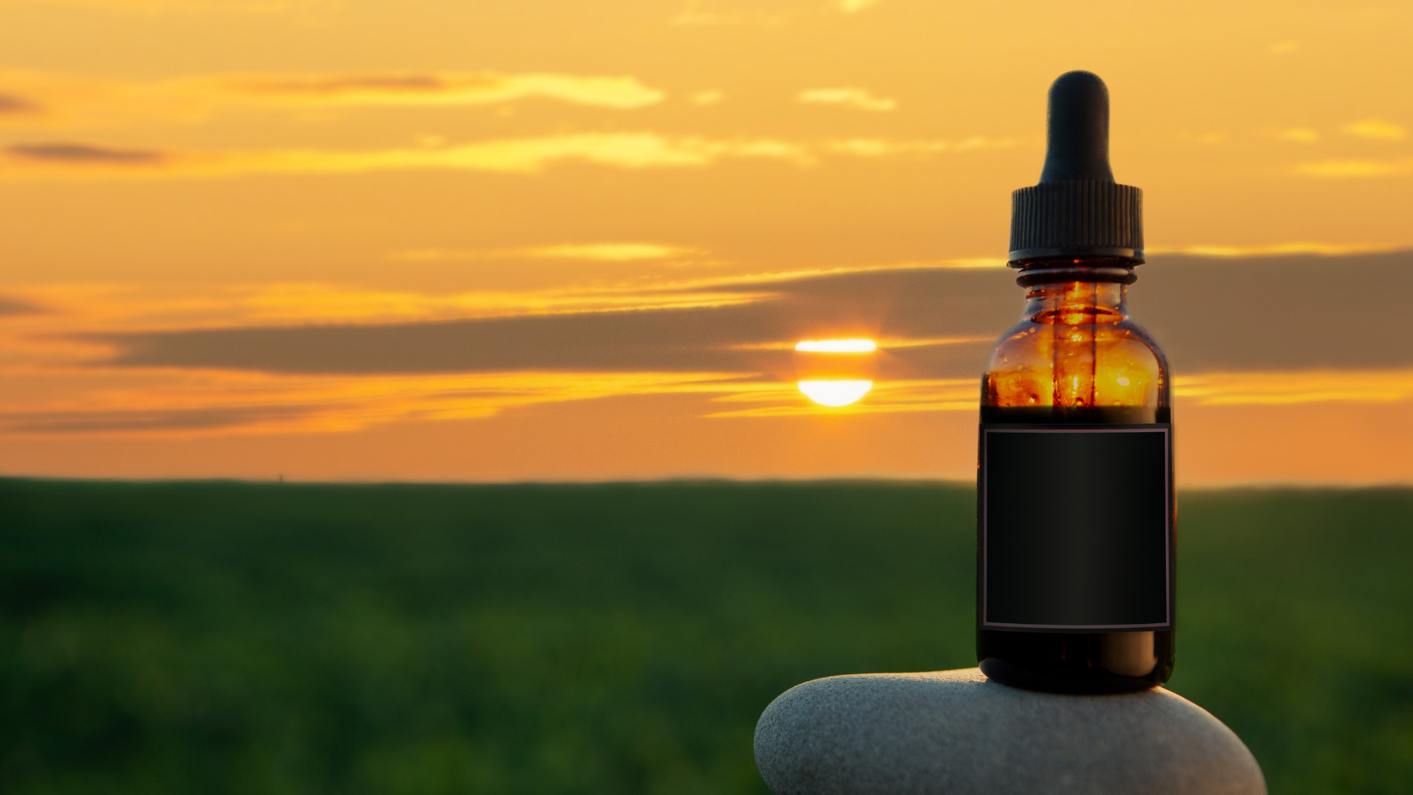 Fuel Your Beard’s Growth with Beard Guru’s Expertly Formulated Products