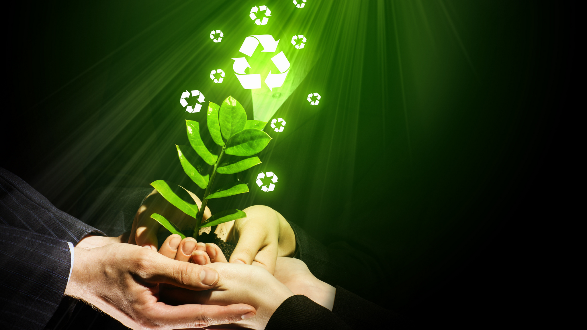 Eco-Warriors How Young Australian Men Are Leading the Charge in Sustainable Living