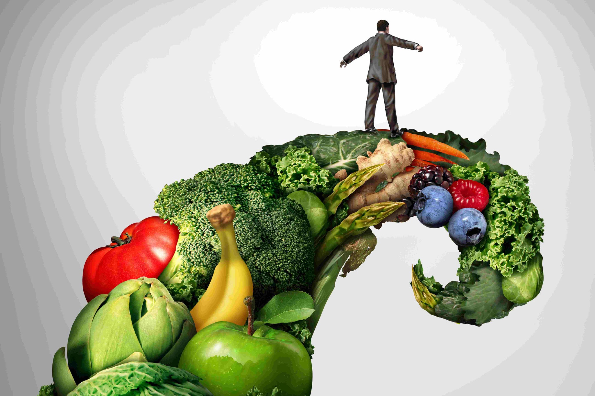 Men’s Influence in the Vegan Movement