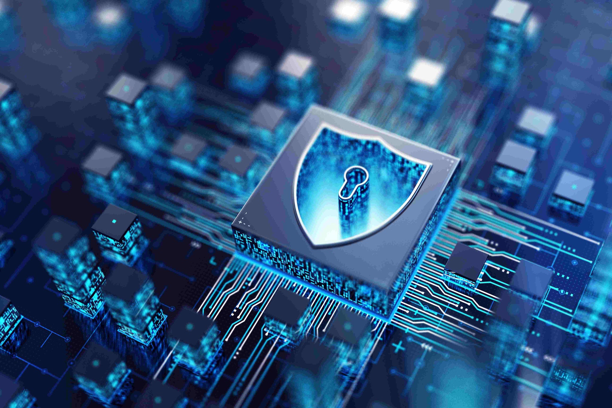 Men’s Role in Cybersecurity Innovations