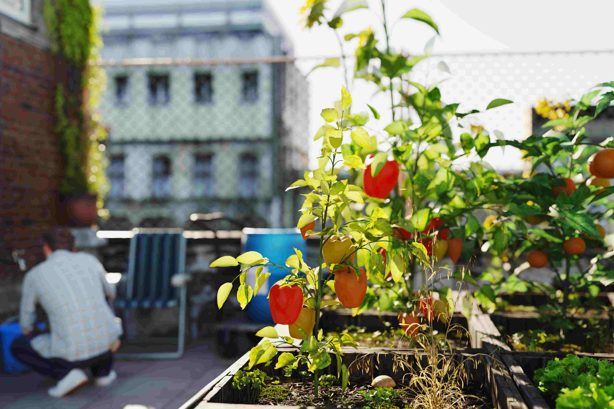 Urban Gardening for Men: Growing Greens in Small Spaces