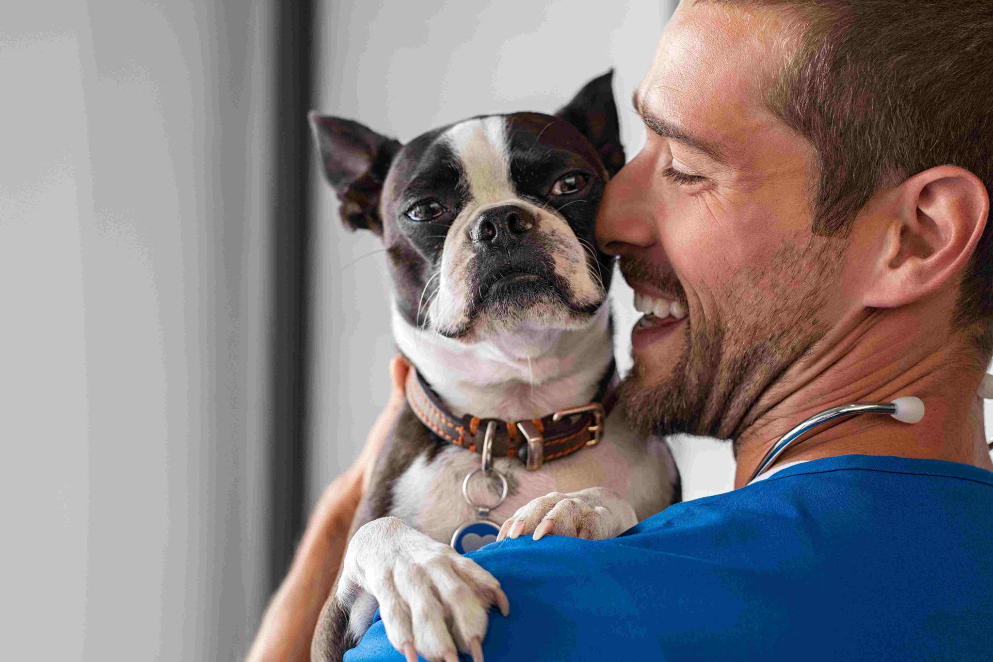 Pet Care Tips for Men: Keeping Your Furry Friends Happy and Healthy
