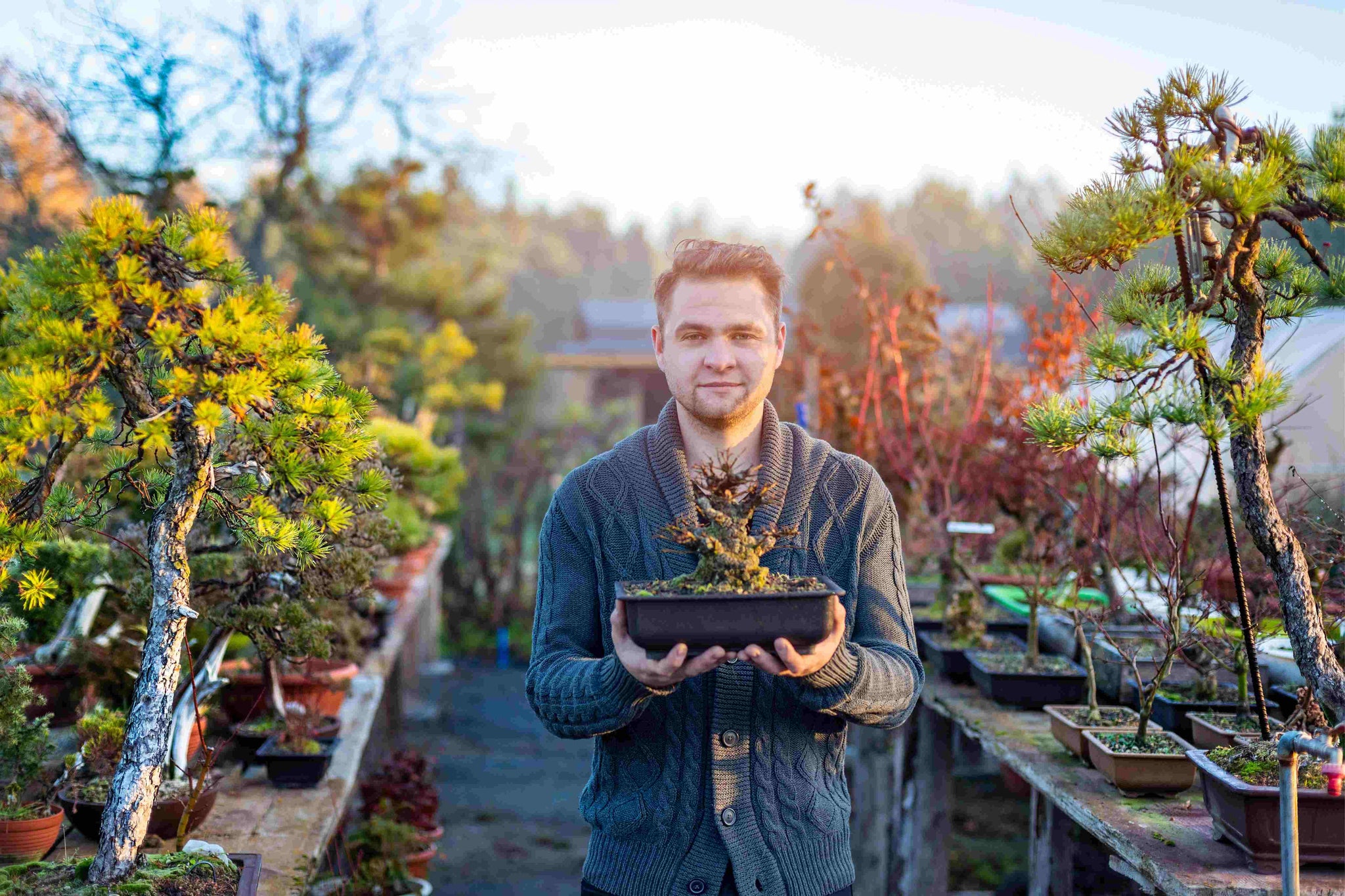 Exploring Bonsai: The Ancient Art of Tree Shaping for Men