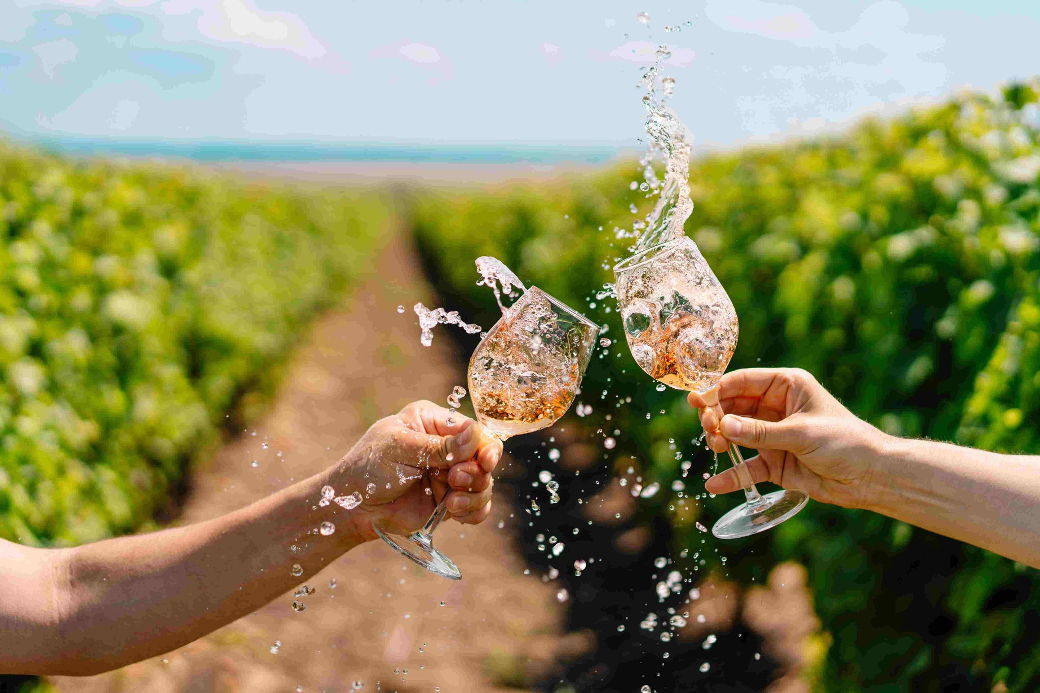 Touring Aussie Vineyards - Wine Tasting as a Hobby for Sophisticated Men