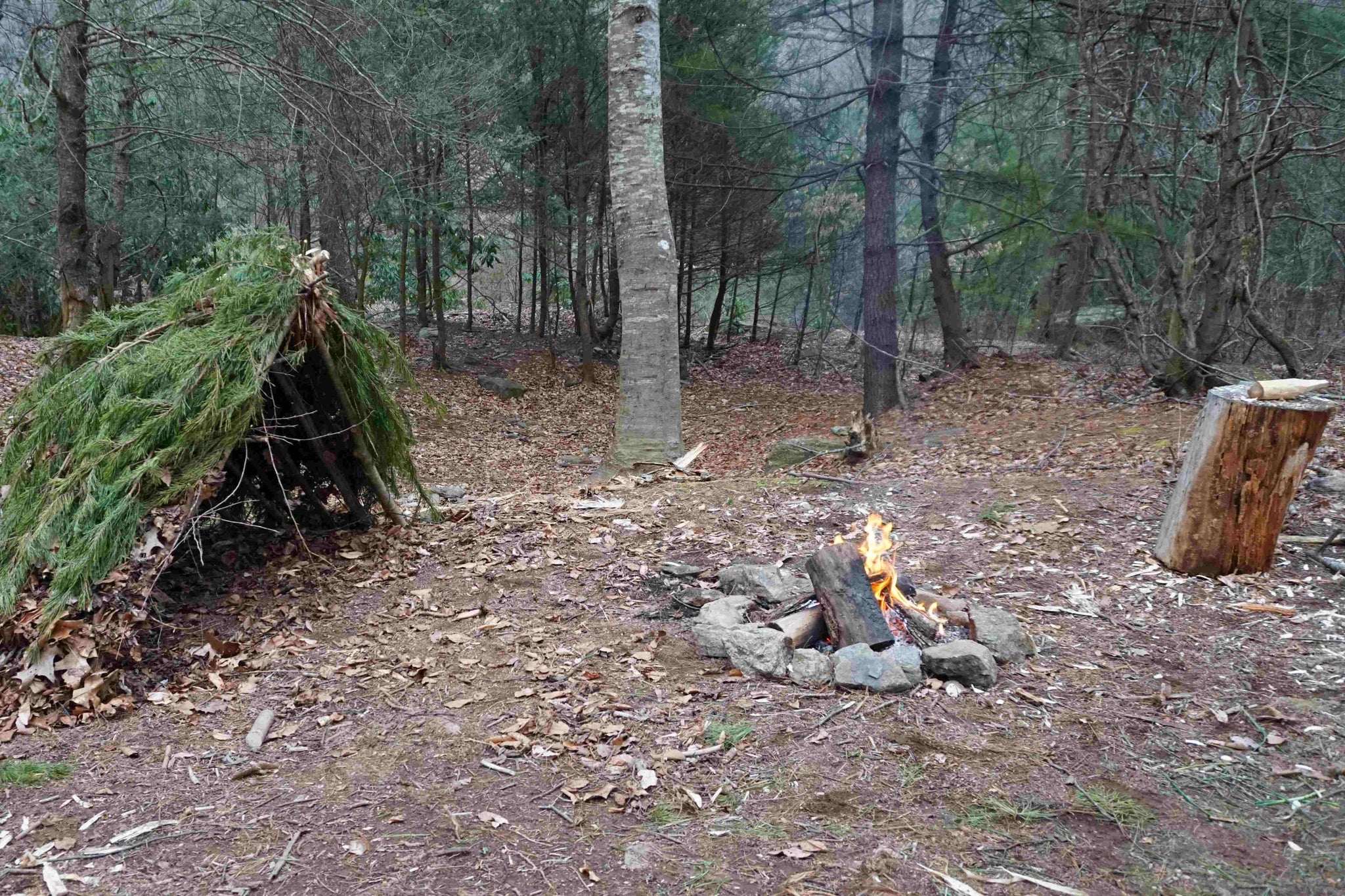 Exploring the Art of Australian Bushcraft: Survival Skills for the Modern Man