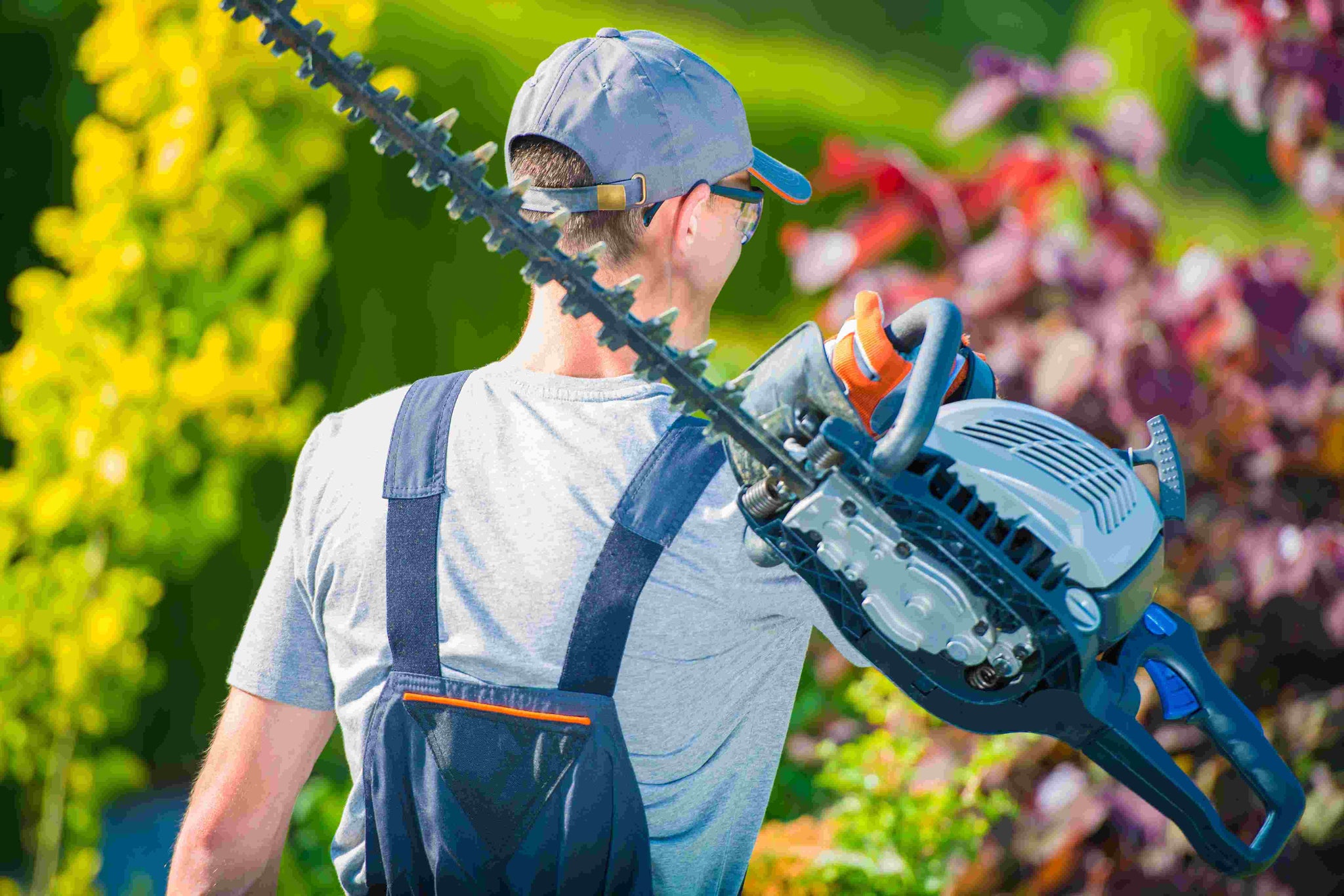 Precision Pruners: Men's Hedge Trimmers