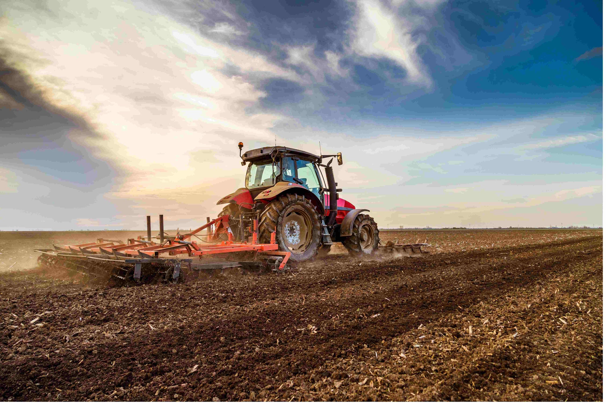Garden Gurus: Men's Cultivators - Crafting Green Spaces with Skill