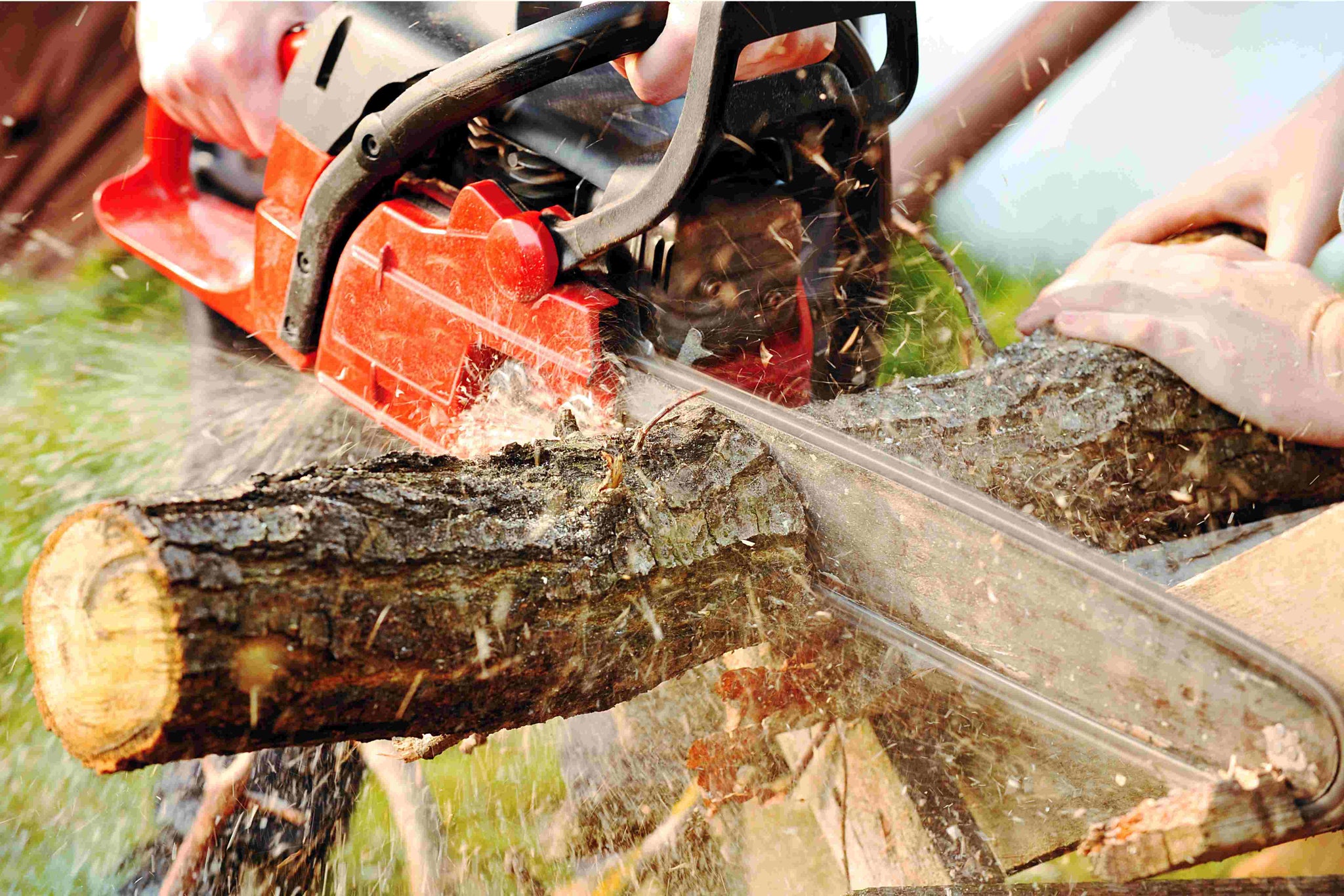 Chainsaw Champions: Men's Power in Tackling Tree Care