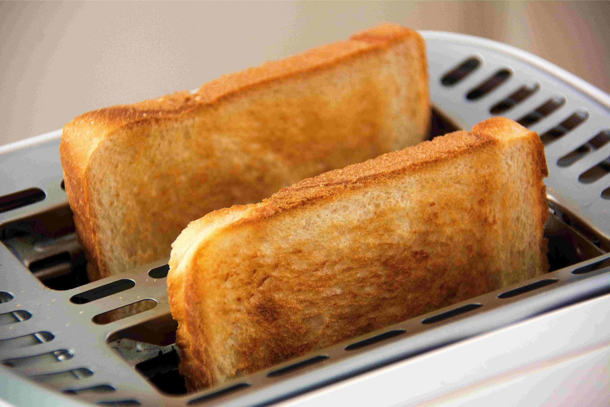 Men's Toaster Tales: Crispy Crunches and Warm Whispers