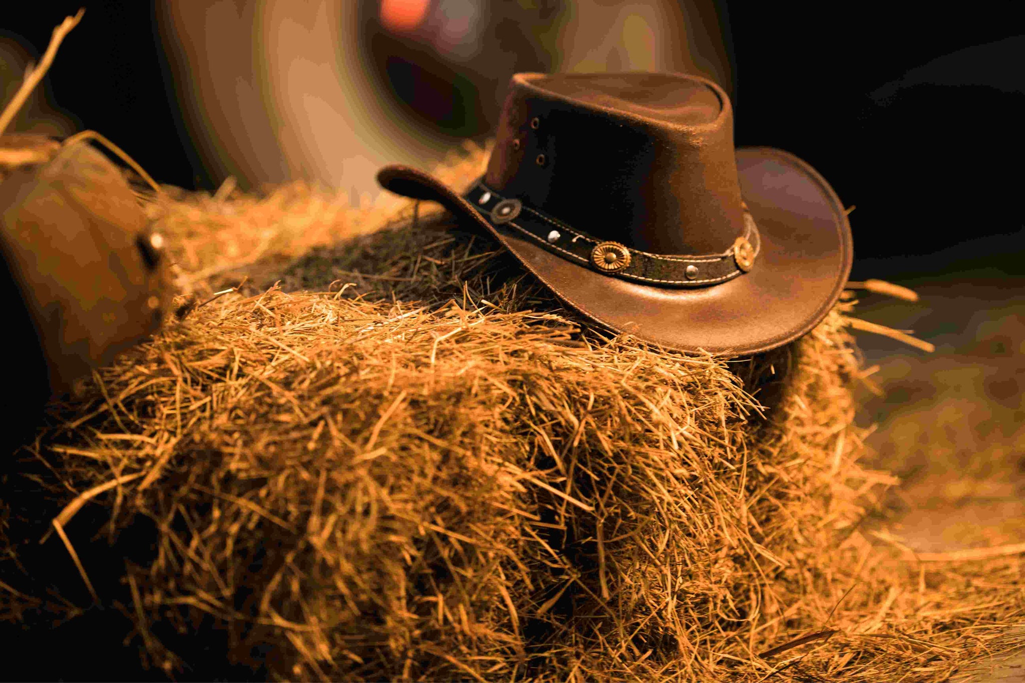 Wild West Appeal: The Timeless Men's Cowboy Hat