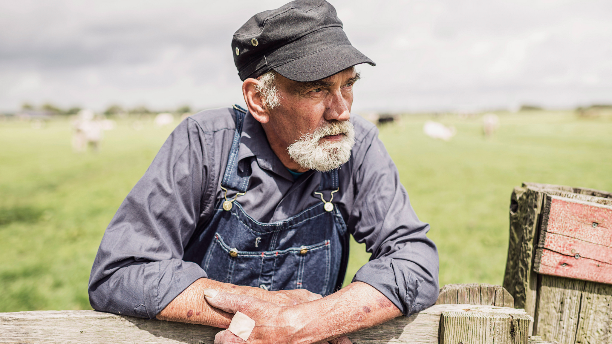 Aussie Farmers’ Take on Low-Maintenance Grooming
