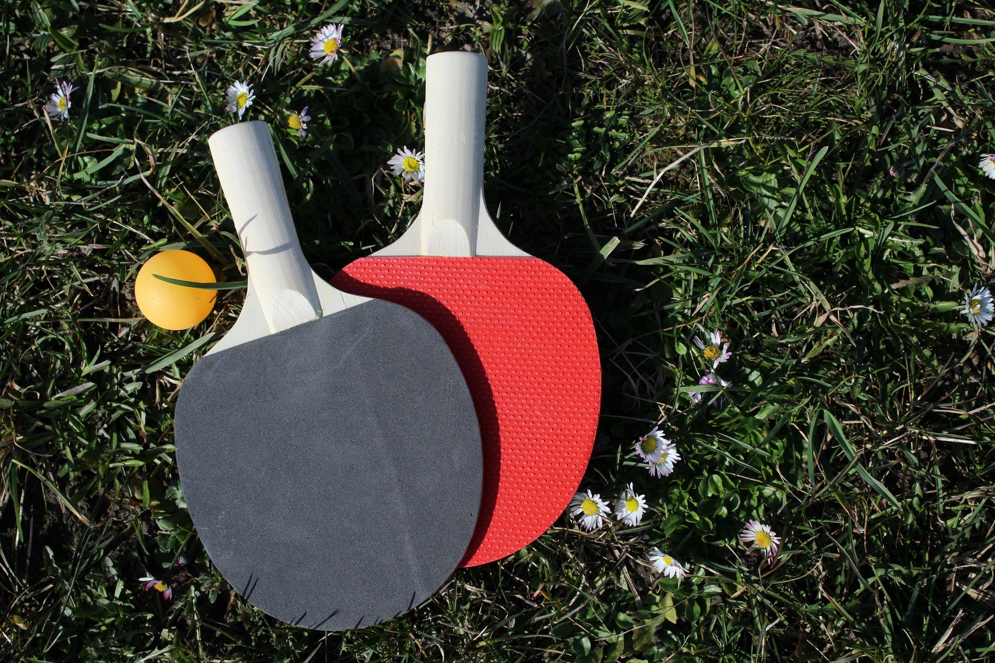 Rallying to Victory: The Thrilling World of Men's Table Tennis