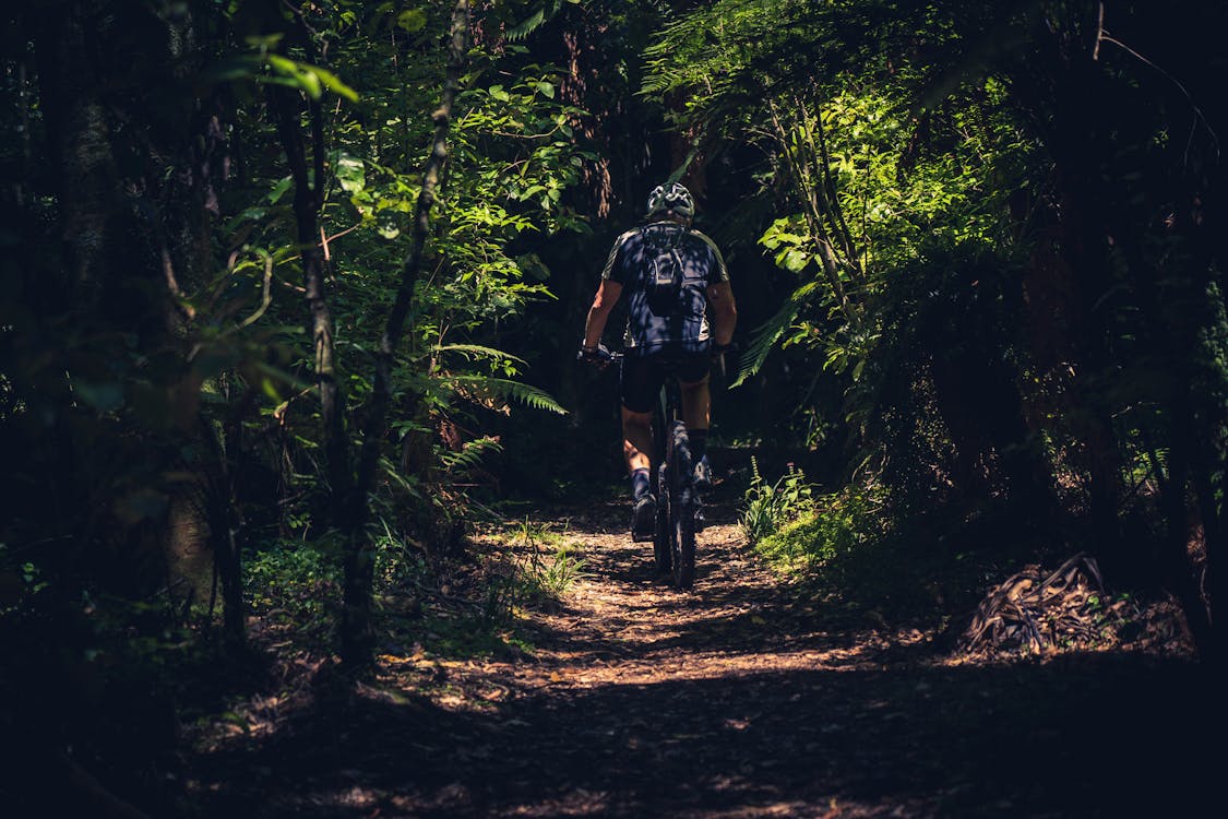 Men on Wheels: Conquering Trails Through Mountain Biking