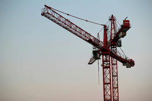 Lifting Giants: Men's Cranes